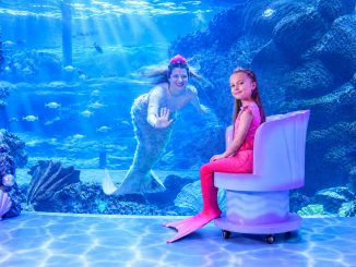 Why Dubai Tourism Appeals To Families And Solo Travelers