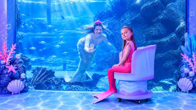 Why Dubai Tourism Appeals To Families And Solo Travelers